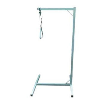 Patient Lift Pole